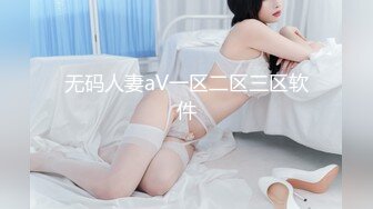 无码人妻aV一区二区三区软件