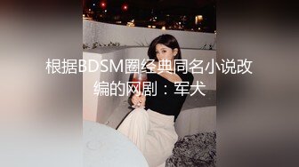 根据BDSM圈经典同名小说改编的网剧：军犬