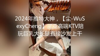 2024年推特大神，【尘-WuSexyCheng】三亚高端KTV陪玩巨乳大长腿直接沙发上干