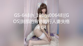 GS-648(h_101gs00648)[GOS]刹那的背徳旅行人妻失格＃04