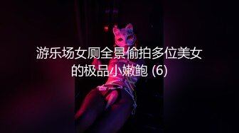 游乐场女厕全景偷拍多位美女的极品小嫩鲍 (6)