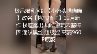 极品爆乳网红【小蔡头喵喵喵】改名【桃气橘子】12月新作 楼道露出 厕所里玩穴塞棒棒 淫纹黑丝 超级涩 高清960P原版