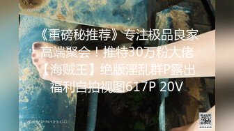 《重磅秘推荐》专注极品良家高端聚会！推特30万粉大佬【海贼王】绝版淫乱群P露出福利自拍视图617P 20V