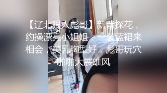 【辽北狠人彪哥】新晋探花，约操漂亮小姐姐，一袭蓝裙来相会，美乳胸型好，彪哥玩穴啪啪大展雄风