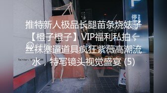 推特新人极品长腿苗条烧婊子【橙子橙子】VIP福利私拍，丝袜塞逼道具疯狂紫薇高潮流水，特写镜头视觉盛宴 (5)