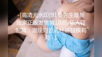 -[高清无水印]91秦先生最新独家正版发售第18部-私人订制篇：潜规则巨乳丝袜腿模莉莉 -1