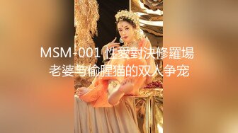 MSM-001 性愛對決修羅場 老婆与偷腥猫的双人争宠