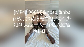 [MP4/ 966M]&nbsp;&nbsp;歌厅探花陈先生约了两个少妇4P大战 一人一个后入抽插抬腿侧入